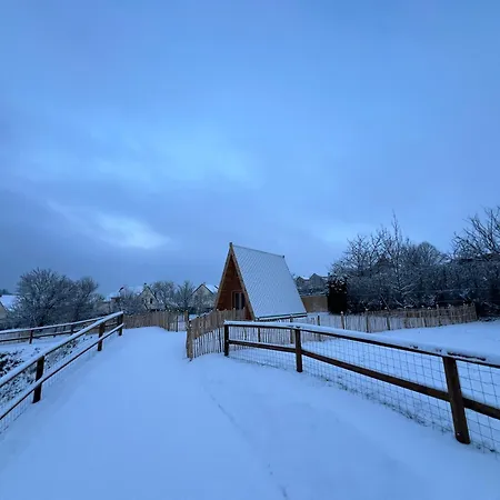 Tiny House Ardennes *