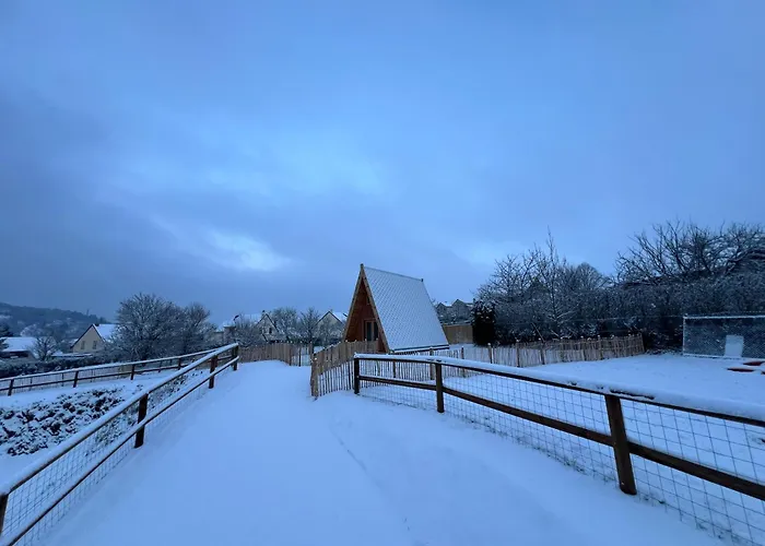 Tiny House Ardennes *